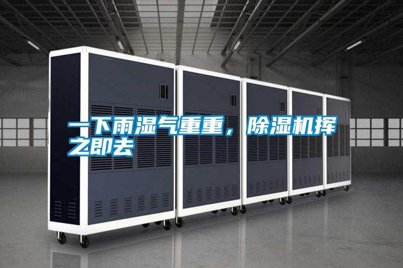 一下雨濕氣重重，除濕機揮之即去