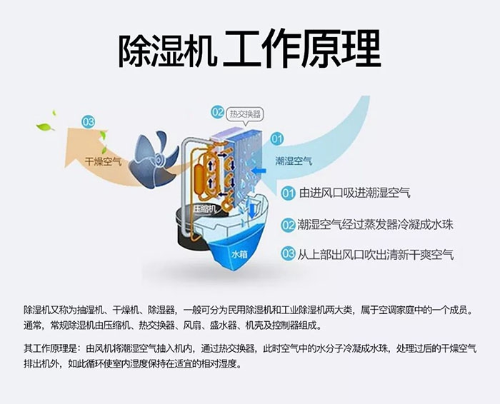 對抗梅雨天，絕不認輸！