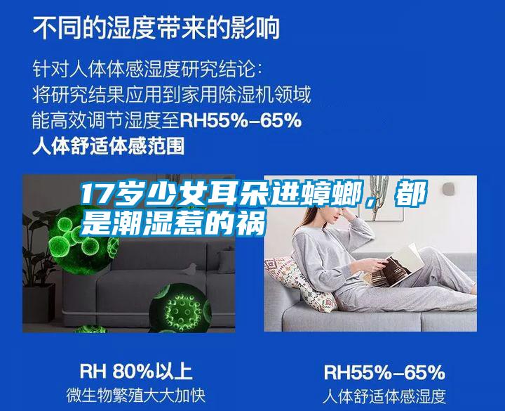 17歲少女耳朵進蟑螂，都是潮濕惹的禍