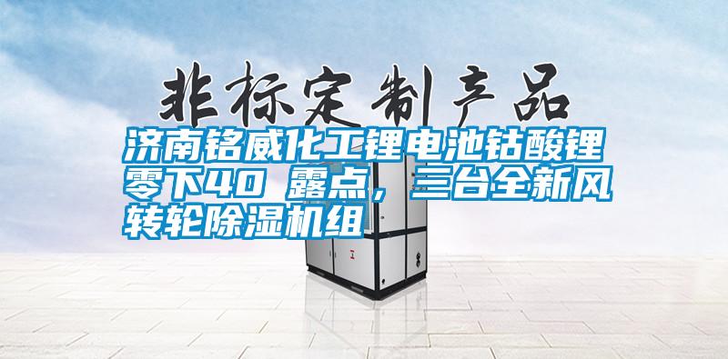 濟南銘威化工鋰電池鈷酸鋰零下40℃露點，三臺全新風轉輪除濕機組
