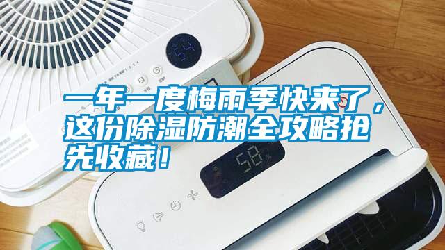 一年一度梅雨季快來了，這份除濕防潮全攻略搶先收藏！
