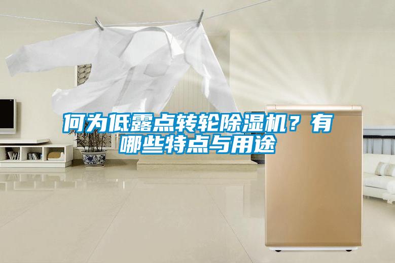 何為低露點轉輪除濕機？有哪些特點與用途