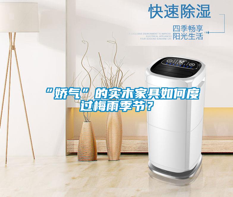 “嬌氣”的實木家具如何度過梅雨季節？