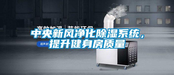 中央新風凈化除濕系統，提升健身房質量