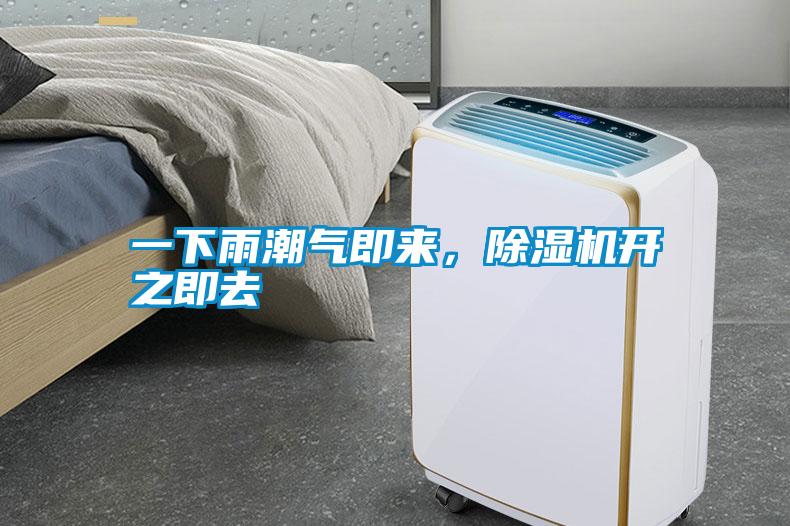 一下雨潮氣即來，除濕機開之即去