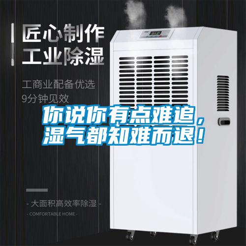 你說你有點難追，濕氣都知難而退！