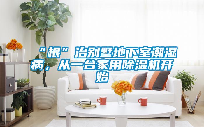 “根”治別墅地下室潮濕病，從一臺家用除濕機開始