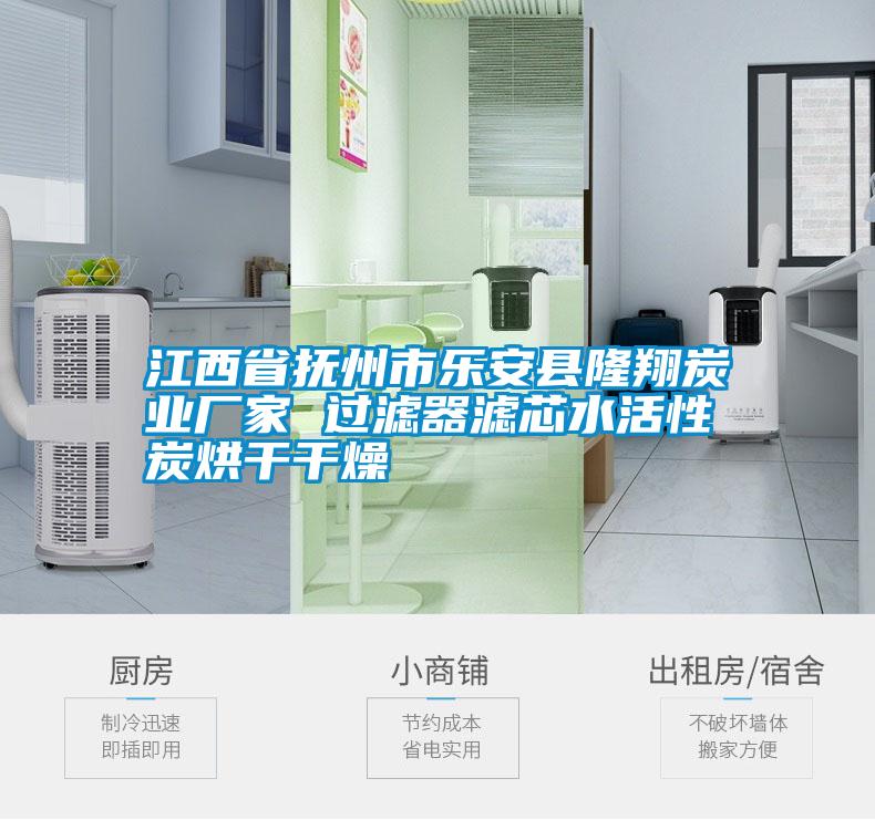 江西省撫州市樂安縣隆翔炭業廠家 過濾器濾芯水活性炭烘干干燥