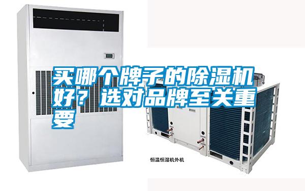 買哪個牌子的除濕機好？選對品牌至關重要