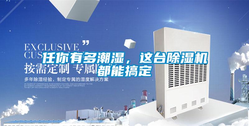 任你有多潮濕，這臺除濕機都能搞定