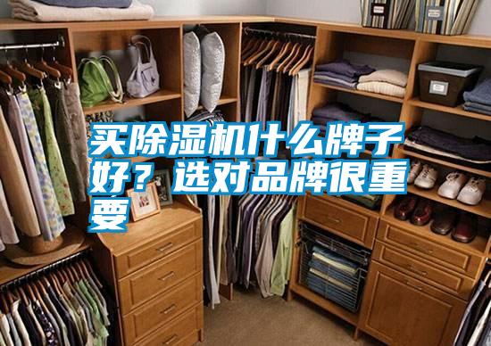 買除濕機什么牌子好？選對品牌很重要