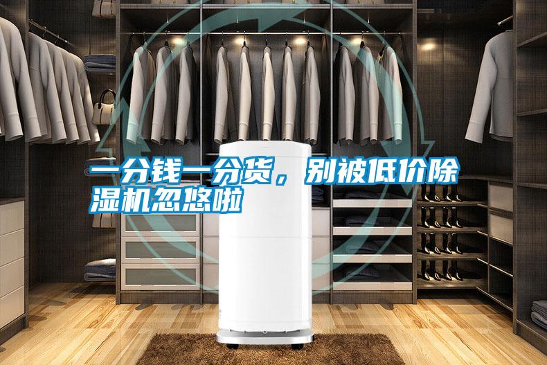 一分錢一分貨，別被低價除濕機忽悠啦