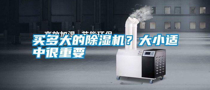 買多大的除濕機？大小適中很重要