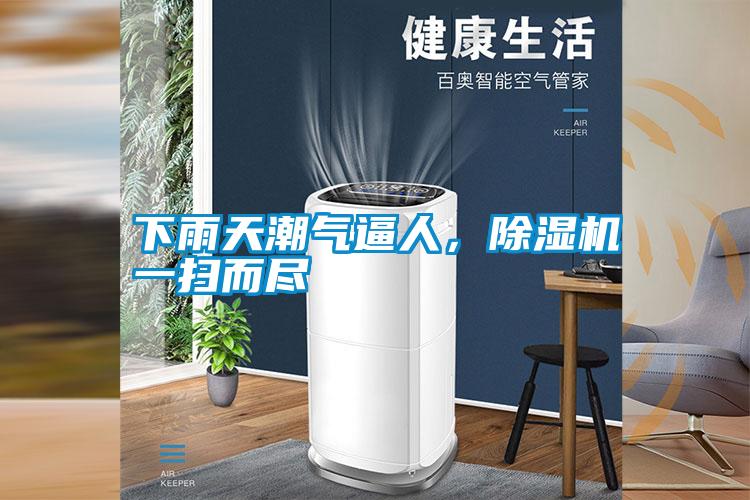 下雨天潮氣逼人，除濕機一掃而盡