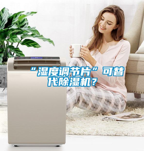 “濕度調節片”可替代除濕機？