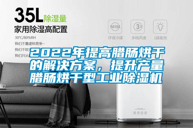 2022年提高臘腸烘干的解決方案，提升產量臘腸烘干型工業除濕機