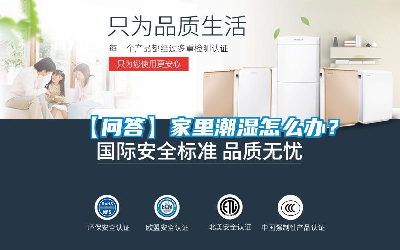 【問答】家里潮濕怎么辦？