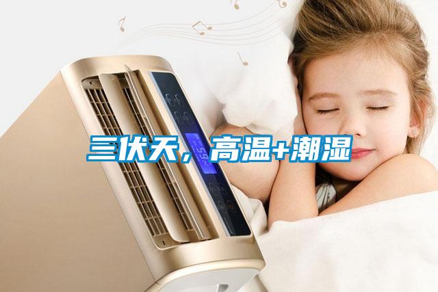 三伏天，高溫+潮濕