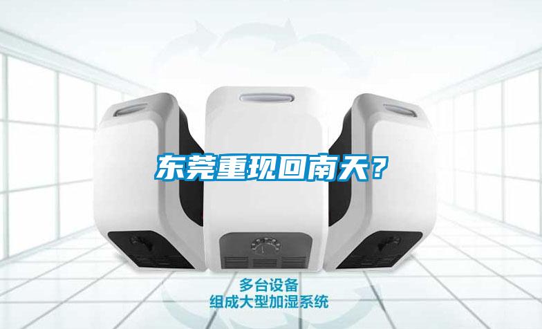 東莞重現回南天？