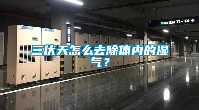 三伏天怎么去除體內的濕氣？
