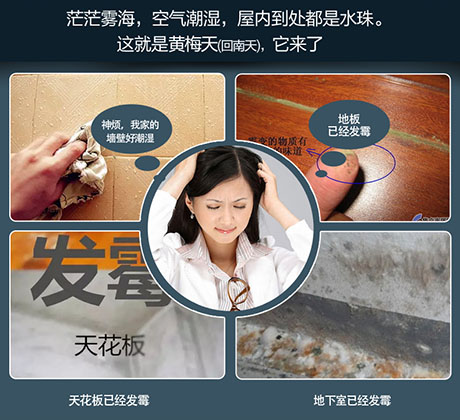 家庭別墅的地下室、衛生間、儲物室等該如何除濕？