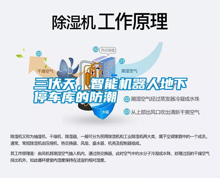 三伏天，智能機器人地下停車庫的防潮