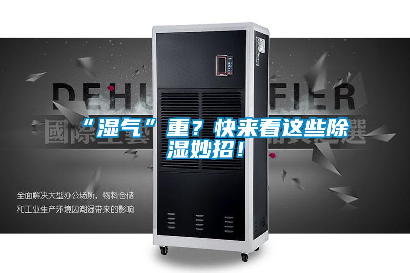 “濕氣”重？快來看這些除濕妙招！