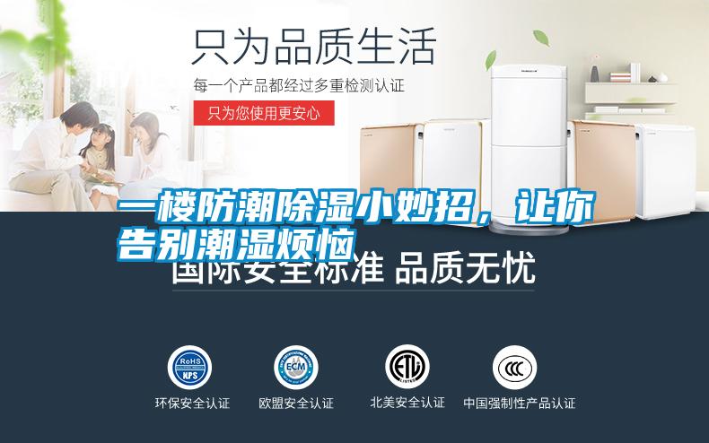 一樓防潮除濕小妙招，讓你告別潮濕煩惱