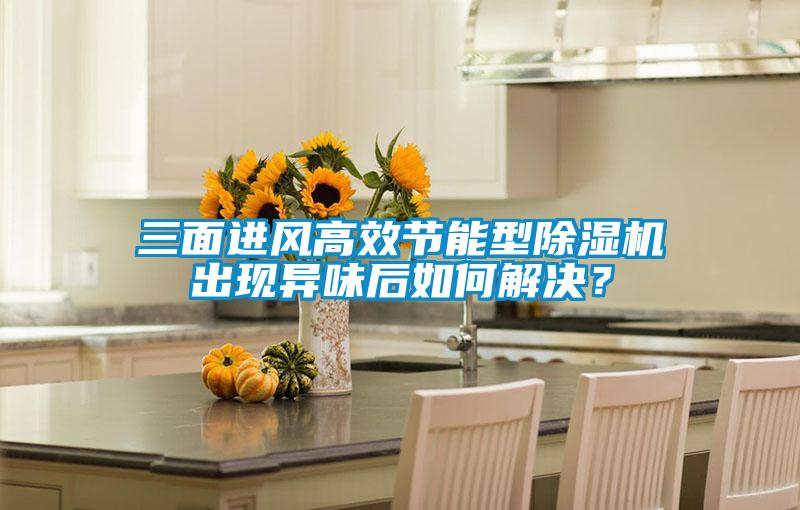 三面進風高效節能型除濕機出現異味后如何解決？