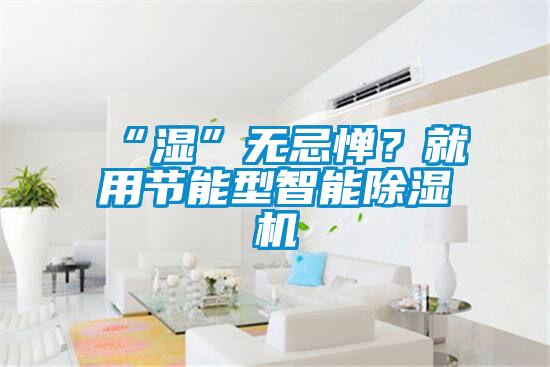“濕”無忌憚？就用節能型智能除濕機