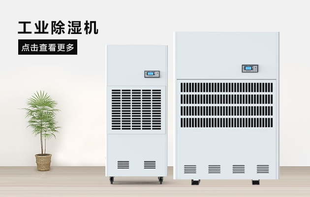 三八節送媽媽的禮物，選這款安詩曼除濕器就對了