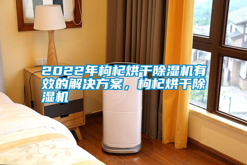 2022年枸杞烘干除濕機有效的解決方案，枸杞烘干除濕機