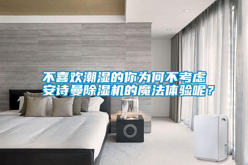 不喜歡潮濕的你為何不考慮安詩曼除濕機的魔法體驗呢？