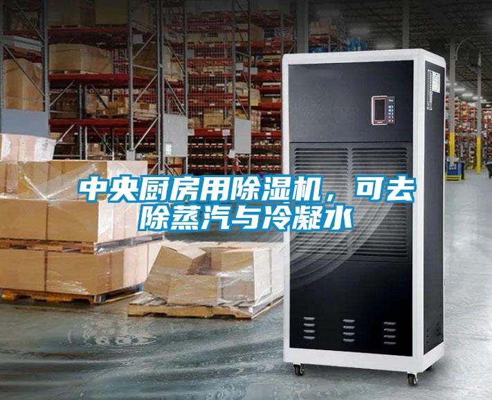 中央廚房用除濕機，可去除蒸汽與冷凝水