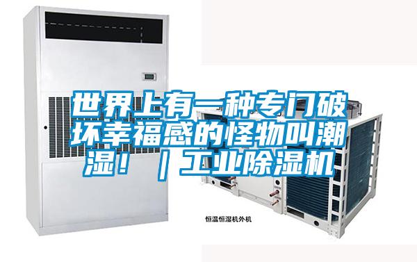 世界上有一種專門破壞幸福感的怪物叫潮濕?。I除濕機