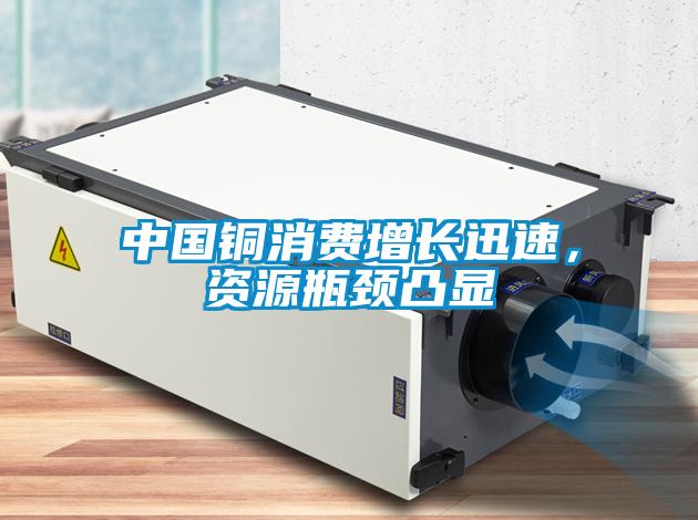 中國銅消費增長迅速，資源瓶頸凸顯