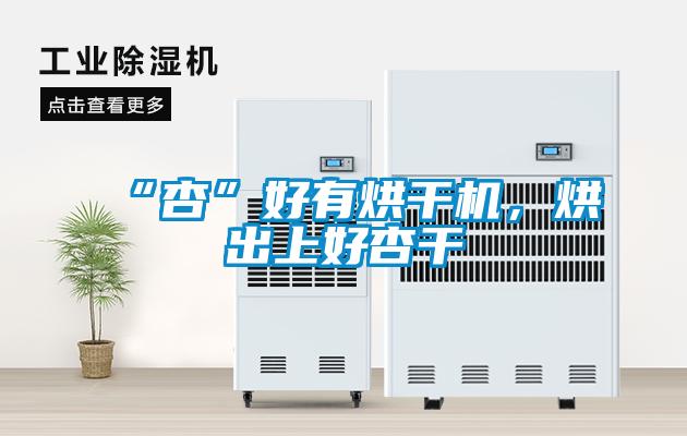 “杏”好有烘干機，烘出上好杏干