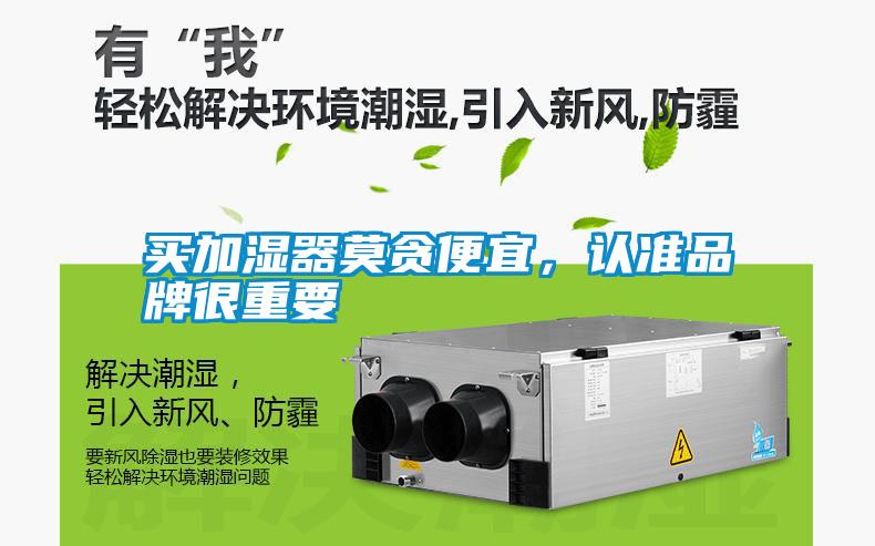 買加濕器莫貪便宜，認準品牌很重要