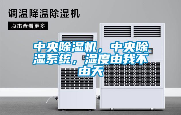 中央除濕機，中央除濕系統，濕度由我不由天