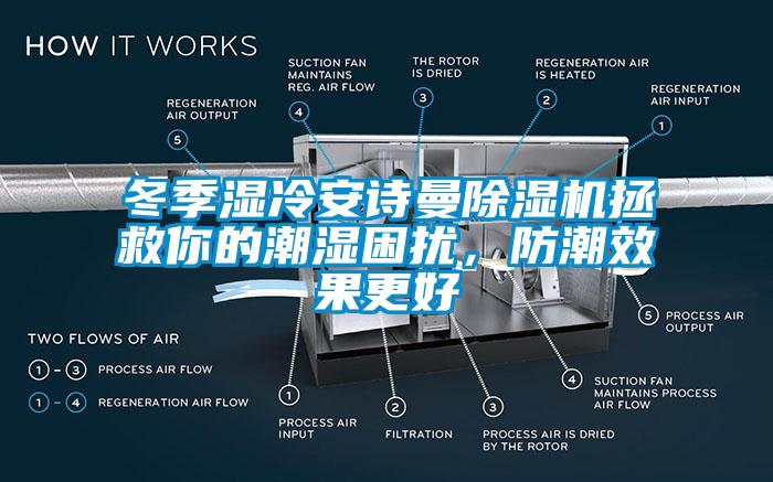 冬季濕冷安詩曼除濕機拯救你的潮濕困擾，防潮效果更好