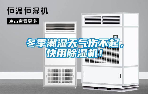 冬季潮濕天氣傷不起，快用除濕機！