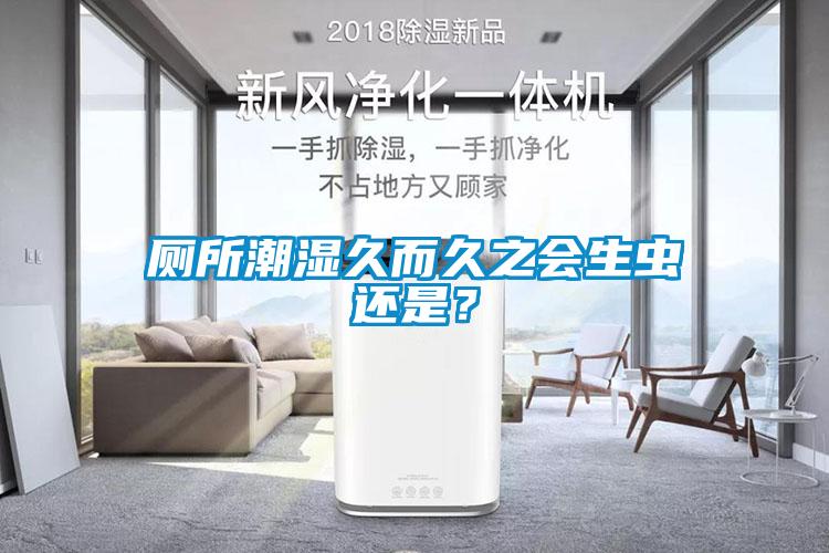 廁所潮濕久而久之會生蟲還是？