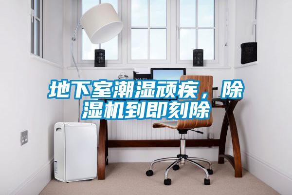 地下室潮濕頑疾，除濕機到即刻除