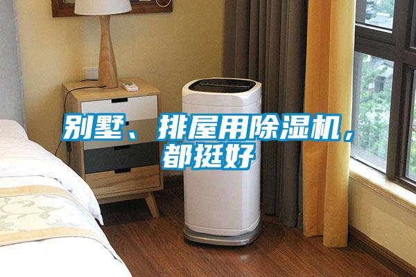別墅、排屋用除濕機，都挺好