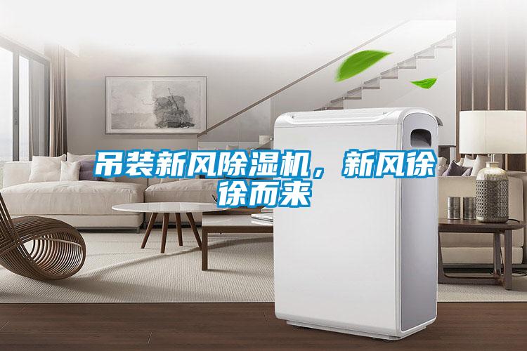 吊裝新風除濕機，新風徐徐而來
