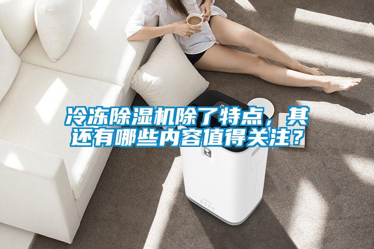 冷凍除濕機除了特點，其還有哪些內容值得關注？