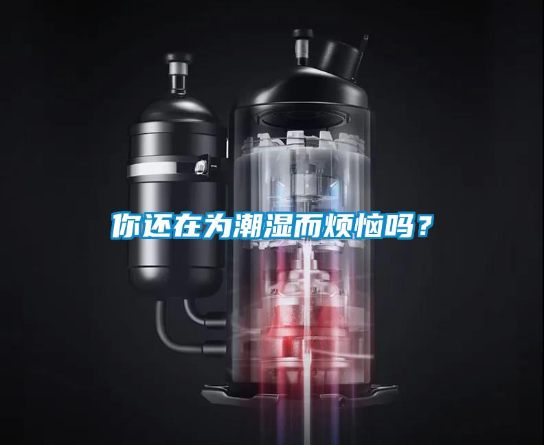 你還在為潮濕而煩惱嗎？