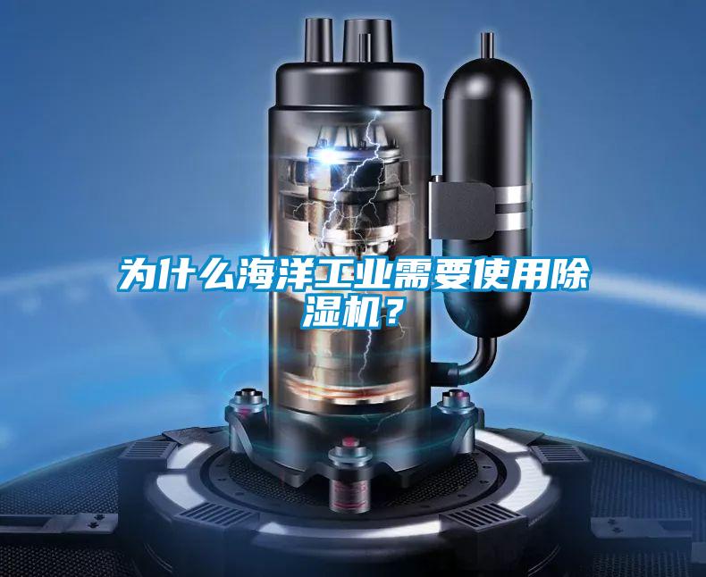為什么海洋工業需要使用除濕機？