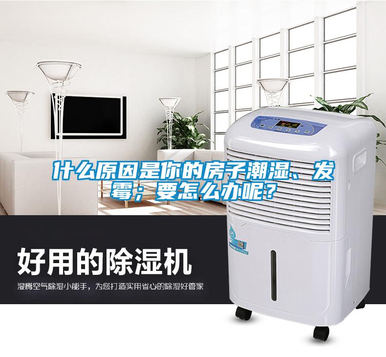 什么原因是你的房子潮濕、發霉；要怎么辦呢？