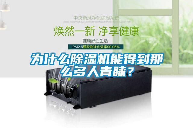 為什么除濕機能得到那么多人青睞？